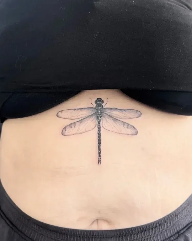 Fine line dragonfly — Karla Madrigal