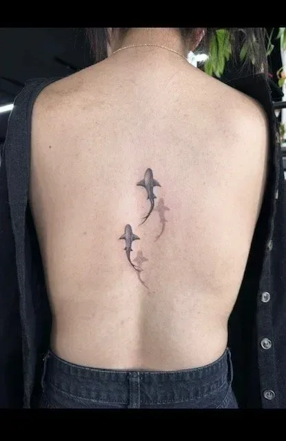 Three sharks down the back — Karla Madrigal