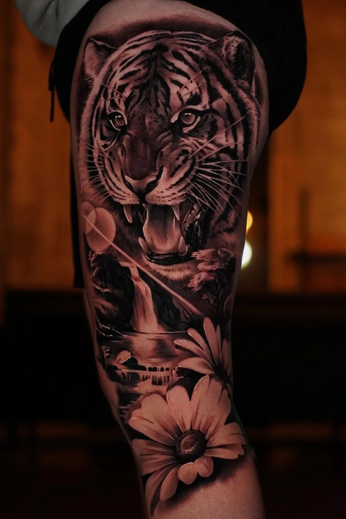 Tiger portrait — Jesse Missman